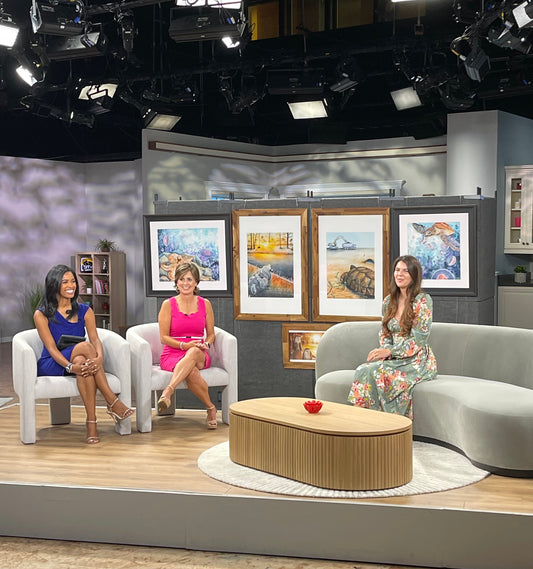 Daytime TV Segment!