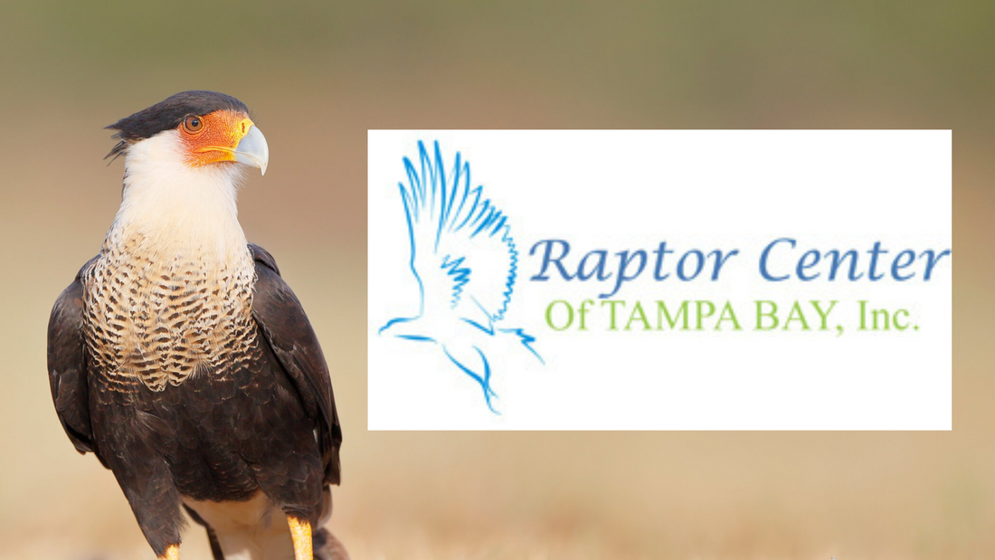 A Major Collaboration Finally Revealed!