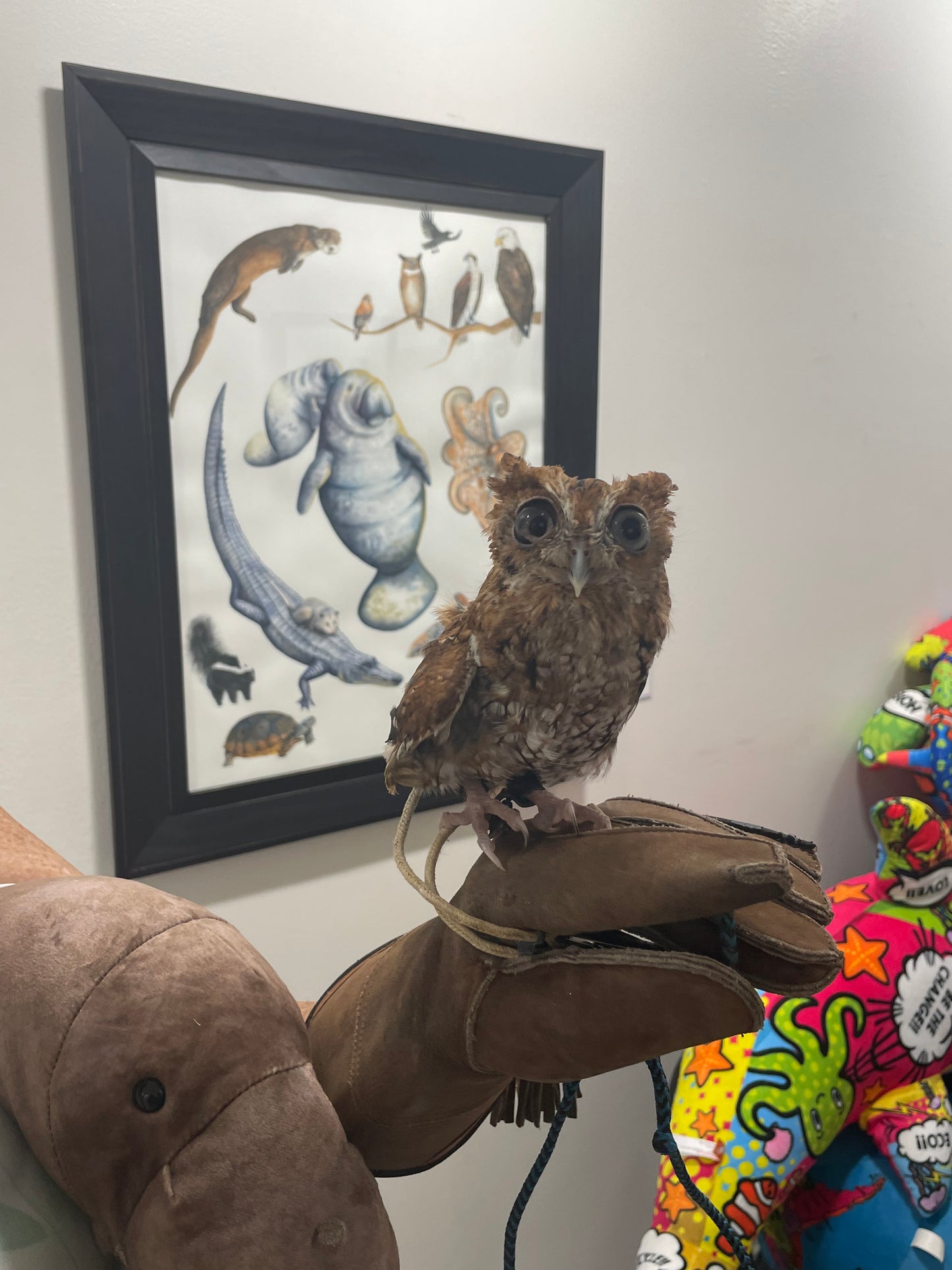 "Essence of Florida" Original Watercolor Painting