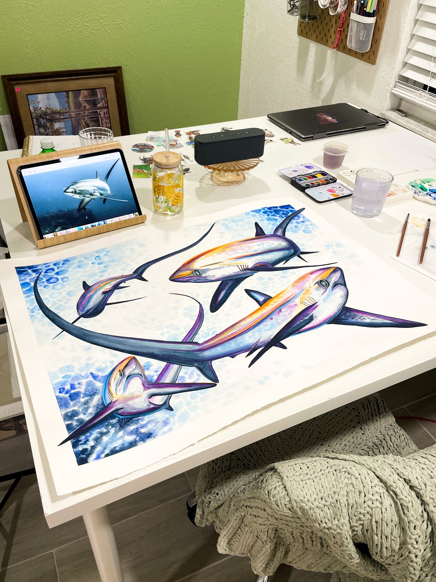 Thresher Shark Original Watercolor Painting