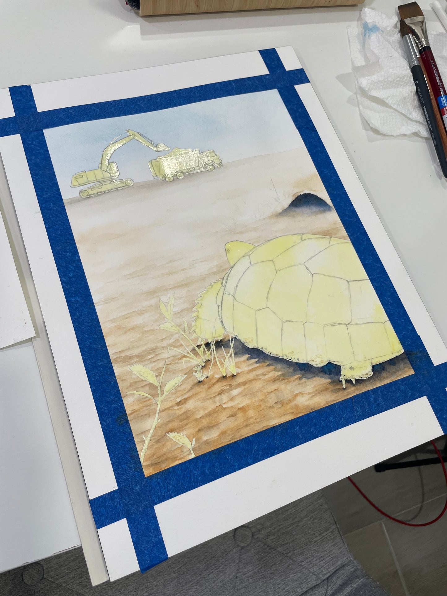 Gopher Tortoise "Where Do I Go?" Original Watercolor Painting