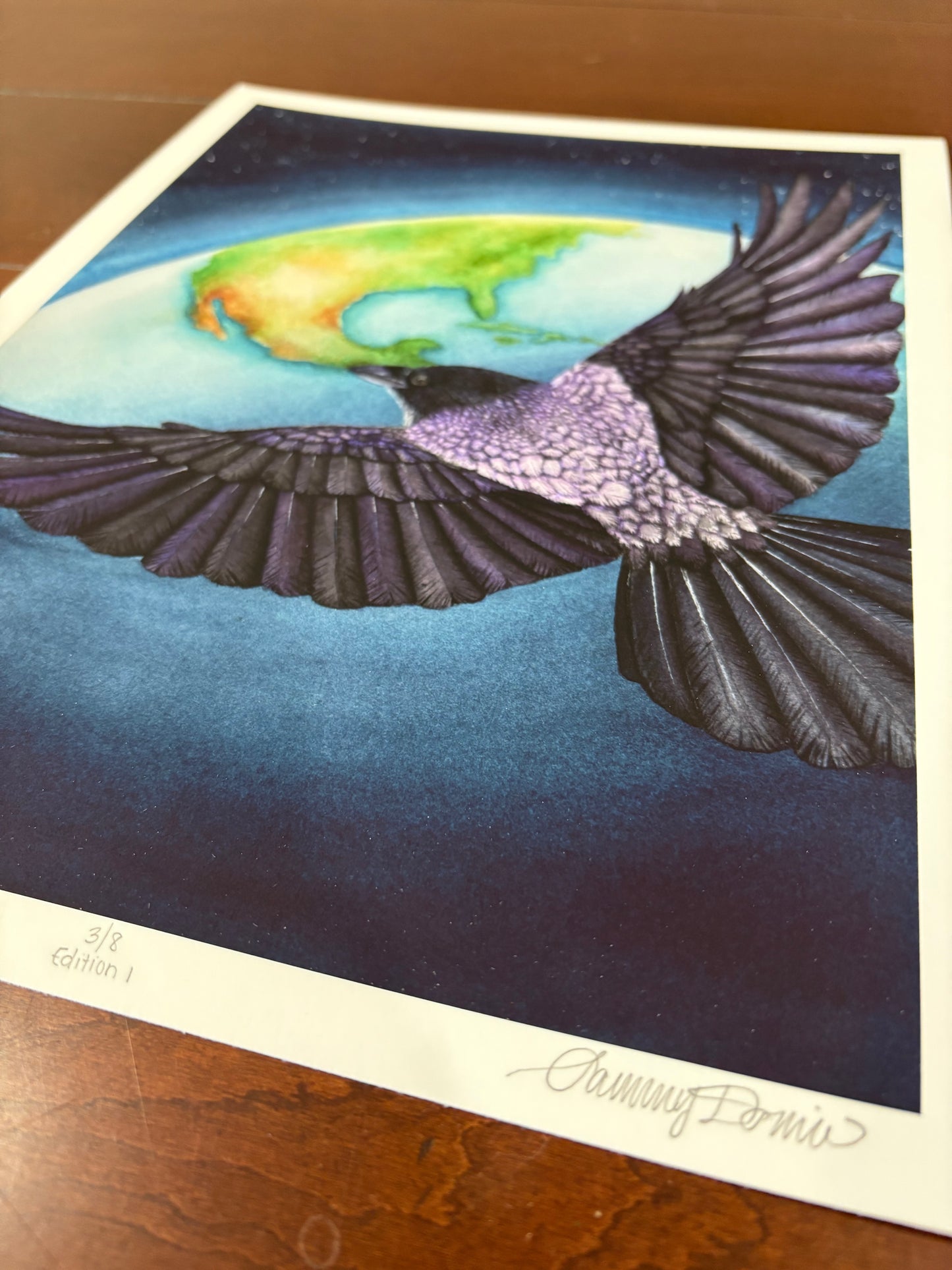 "Bird's Eye View" Crow Limited Edition Fine Art Print