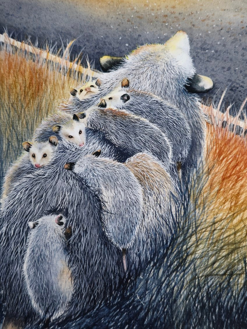 mother and baby opossums sunset pine flatwoods florida watercolor limited edition art print wildlife conservation