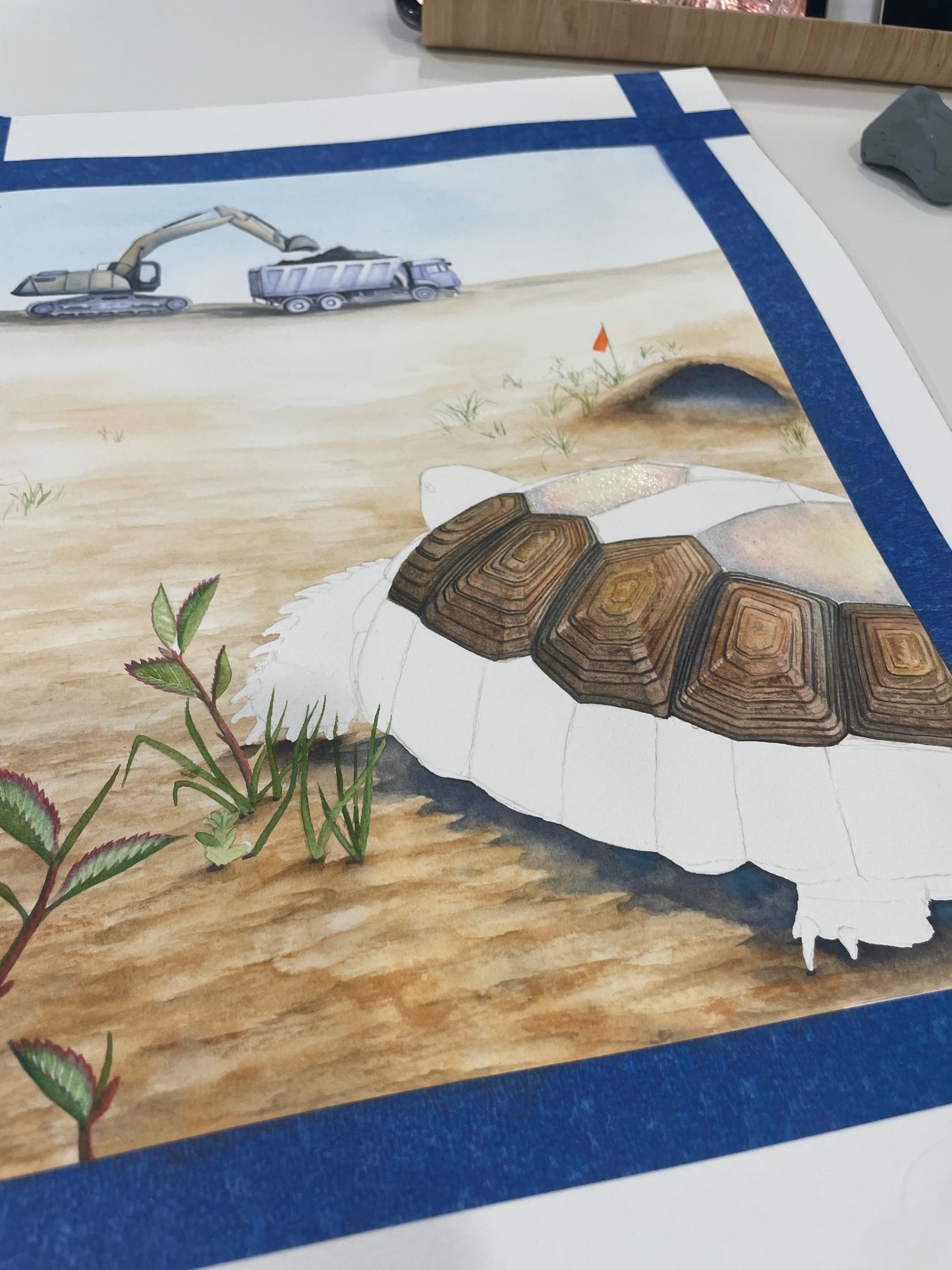 Gopher Tortoise "Where Do I Go?" Original Watercolor Painting
