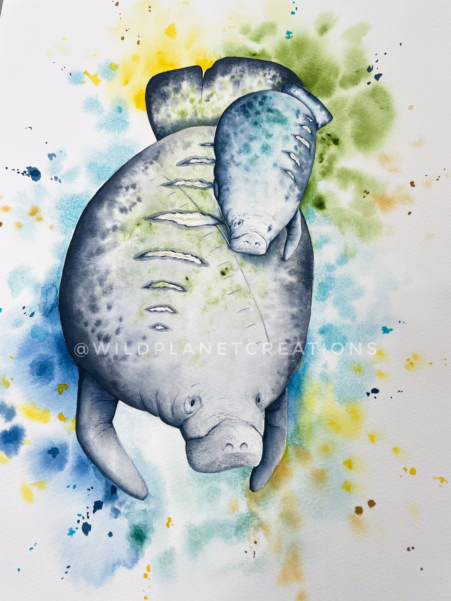 "Our Scars" Manatee Family Limited Edition Fine Art Print