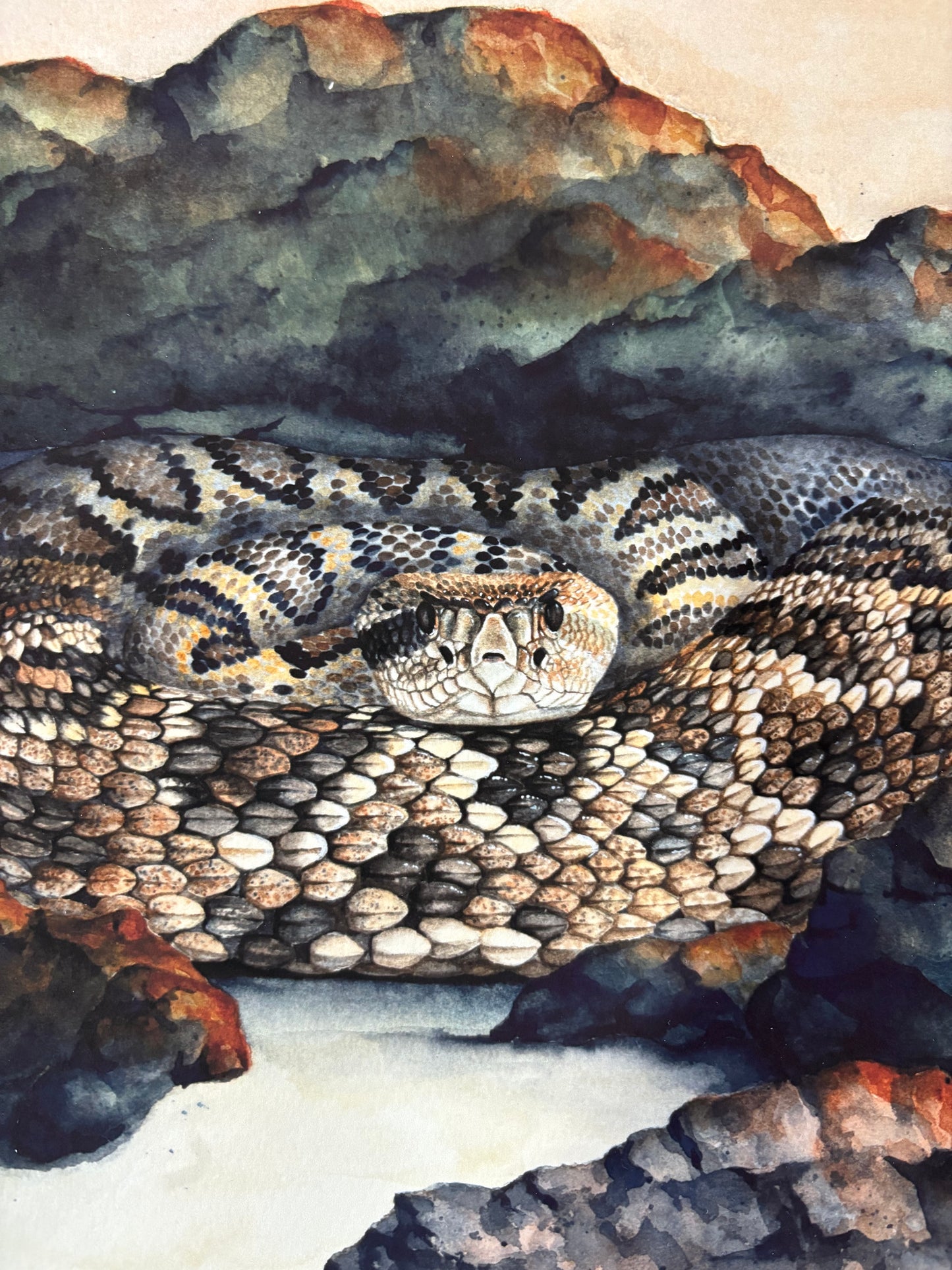 "Still Worthy" Eastern Diamondback Rattlesnake Limited Edition Fine Art Print