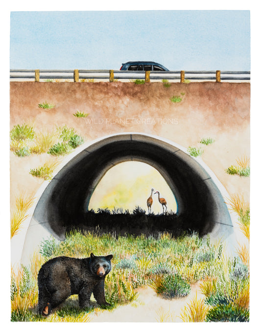 Florida Wildlife Corridor "Safe Passage" Original Watercolor Painting