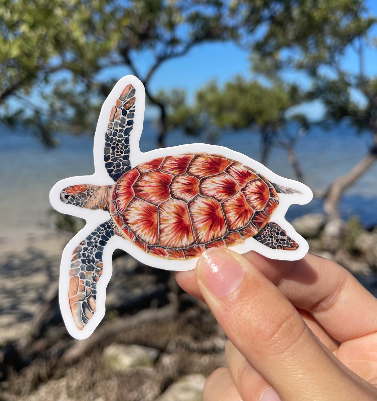 Green Sea Turtle Waterproof Sticker