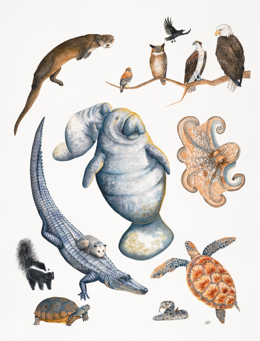 "Essence of Florida" Original Watercolor Painting