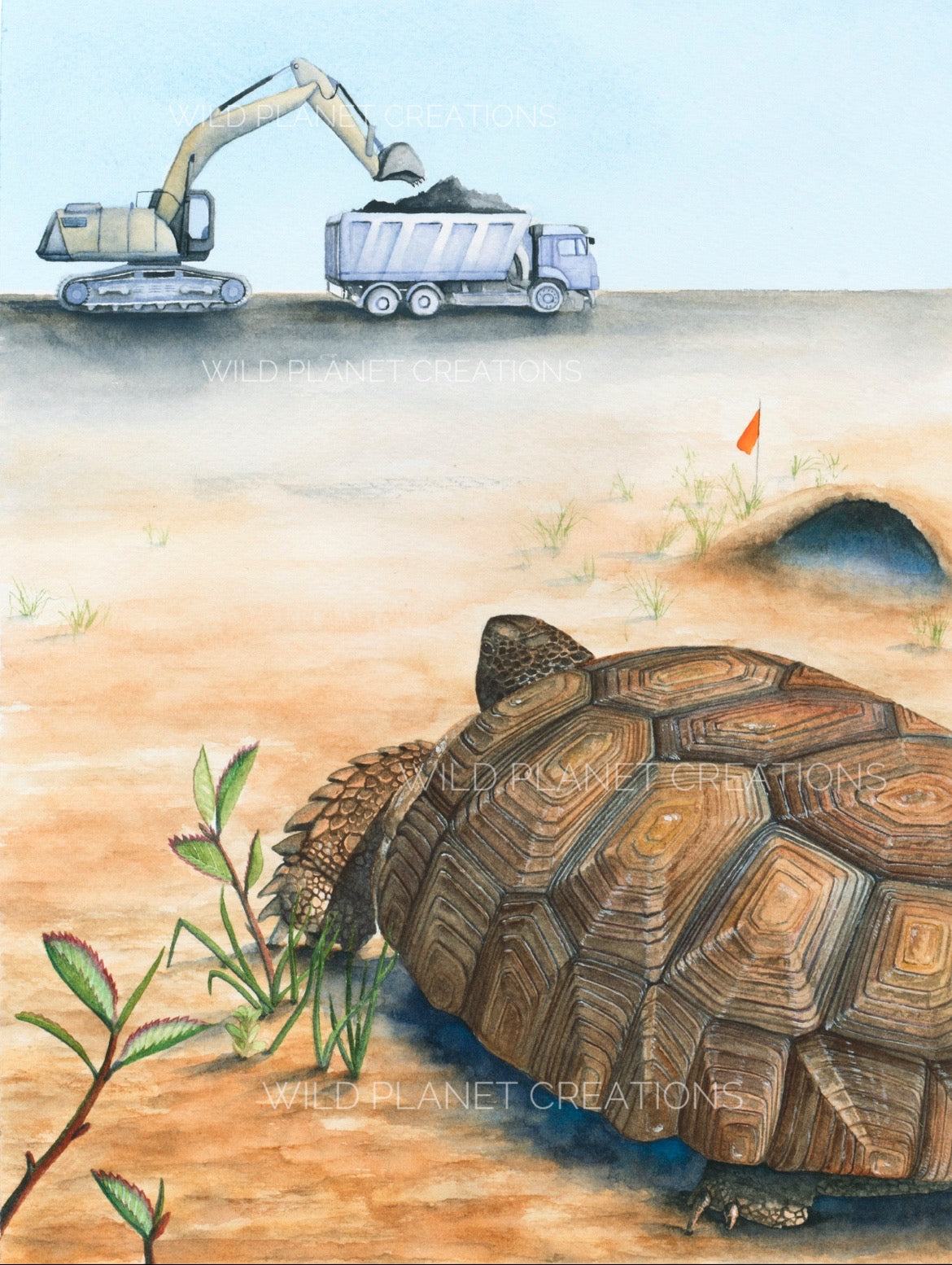 gopher tortoise florida watercolor limited edition art print wildlife conservation