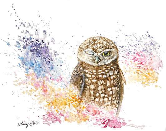 Burrowing Owl Original Watercolor Artwork