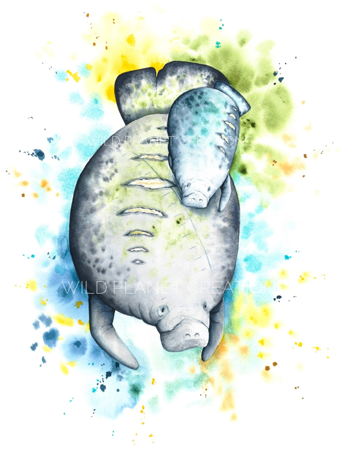 mother and baby manatees manatee watercolor limited edition art print wildlife conservation