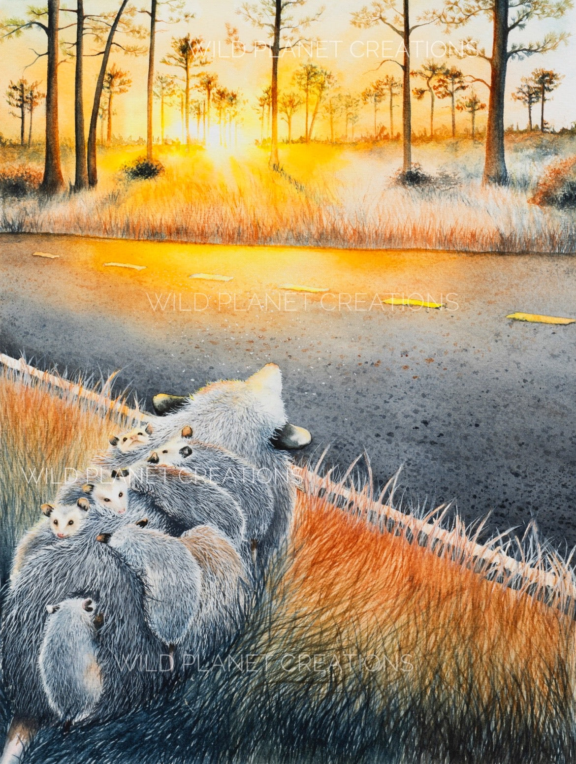 mother and baby opossums sunset pine flatwoods florida watercolor limited edition art print wildlife conservation