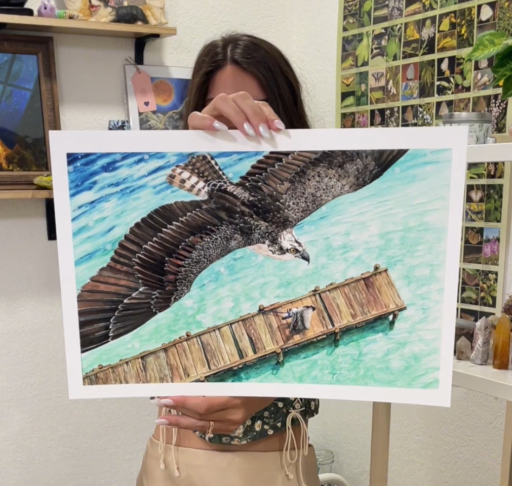 osprey watercolor limited edition art print wildlife conservation