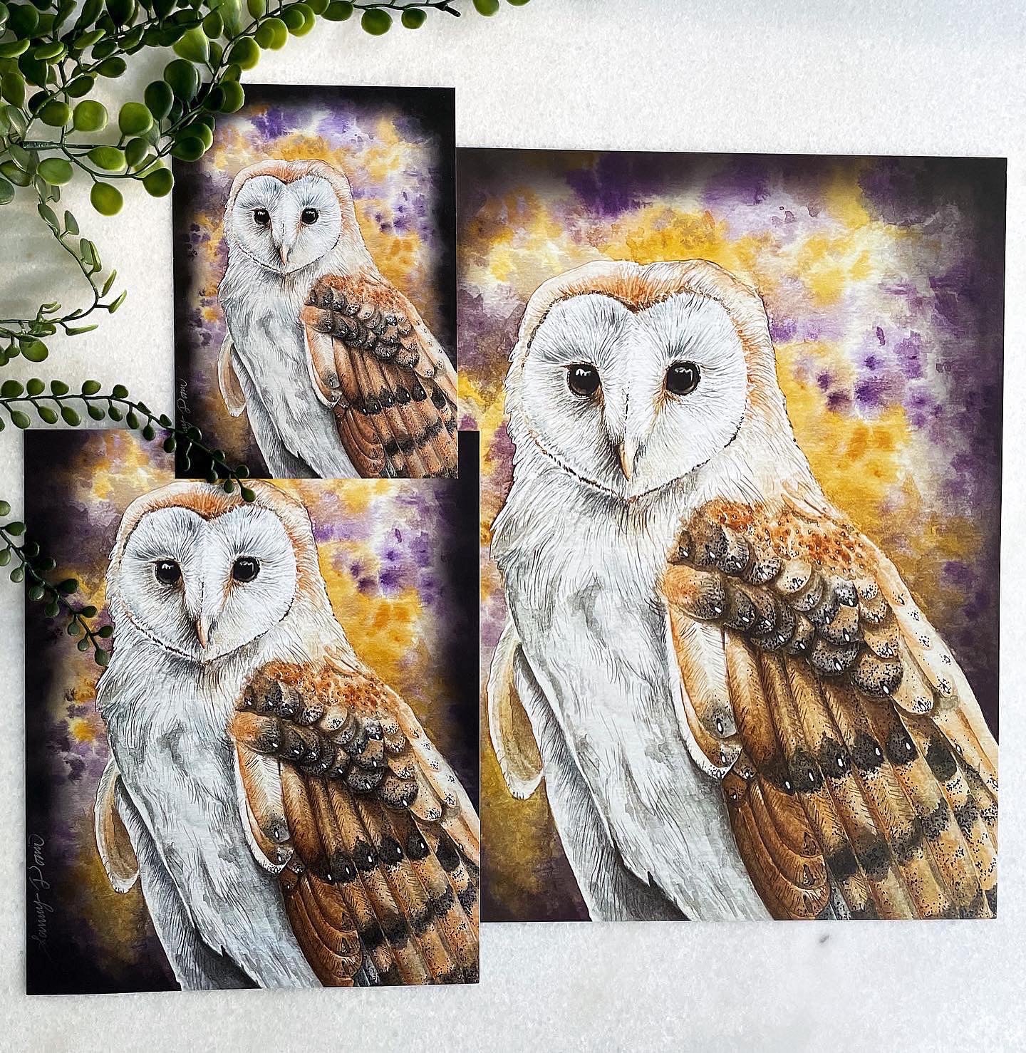 Barn Owl Print
