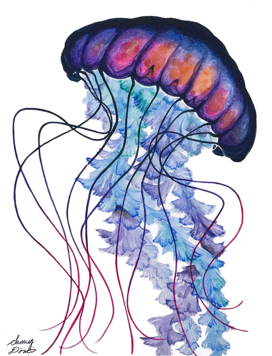 Jellyfish Art Print