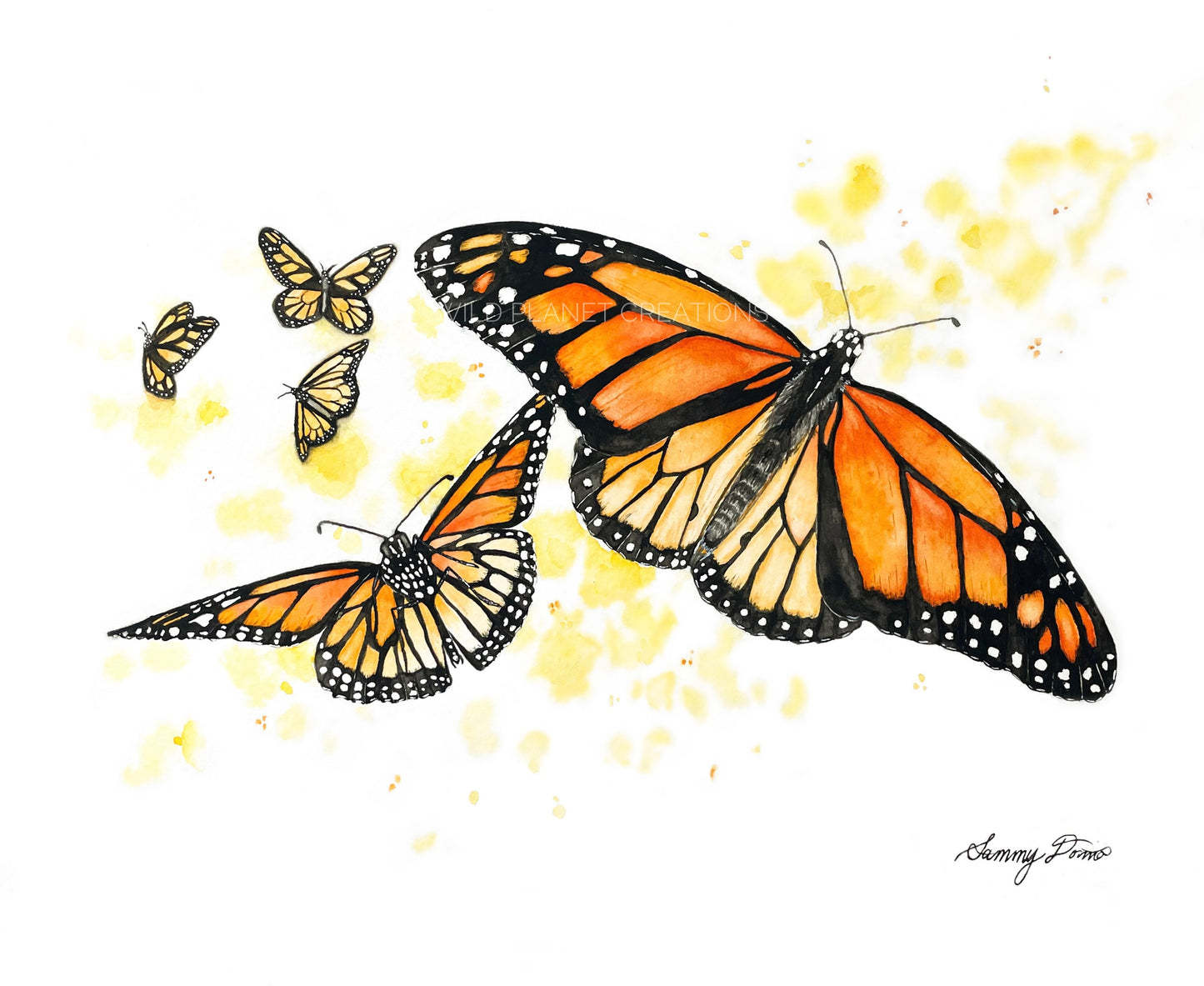Monarch Butterfly Art Print