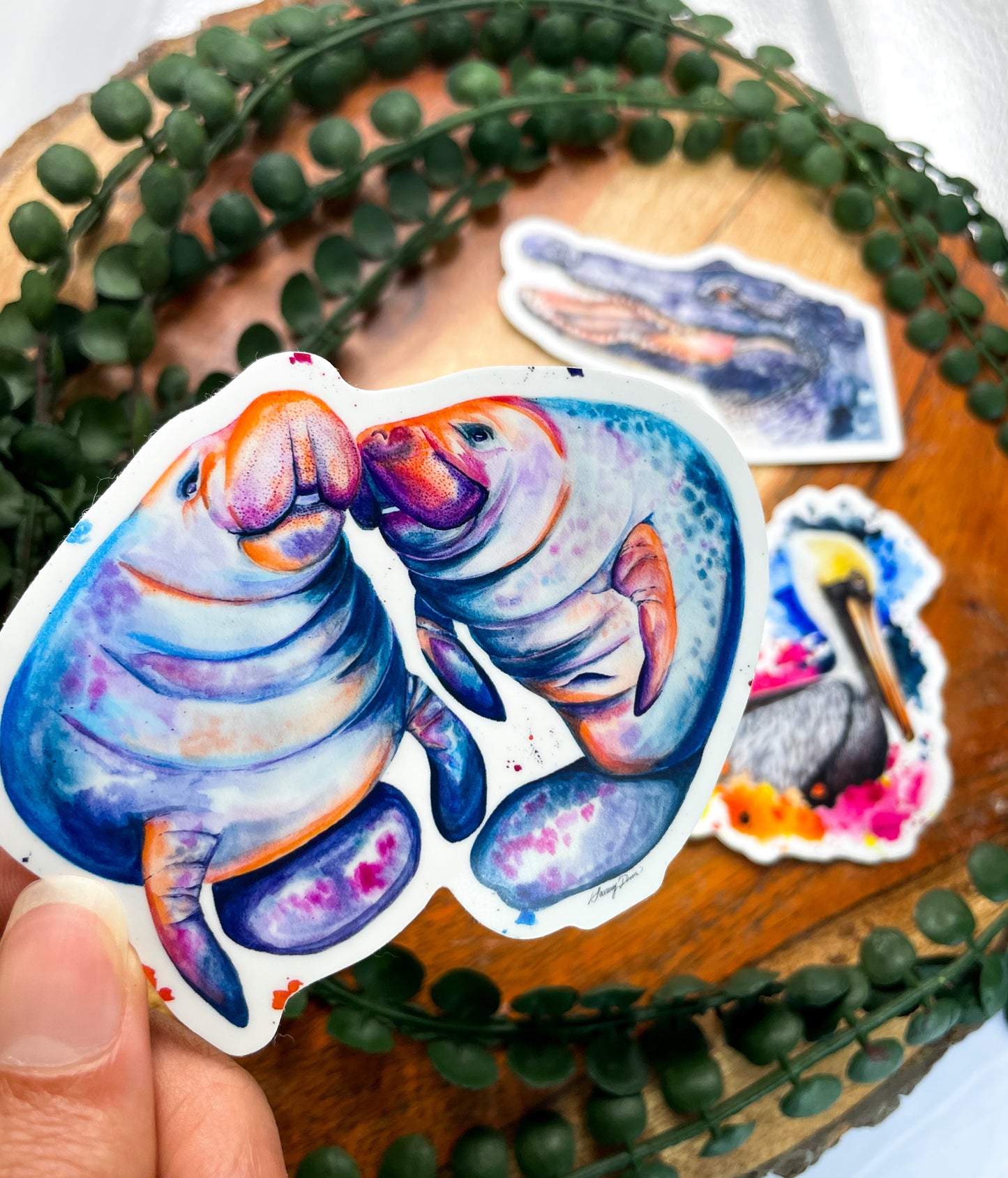 Florida Animal Sticker Bundle Set