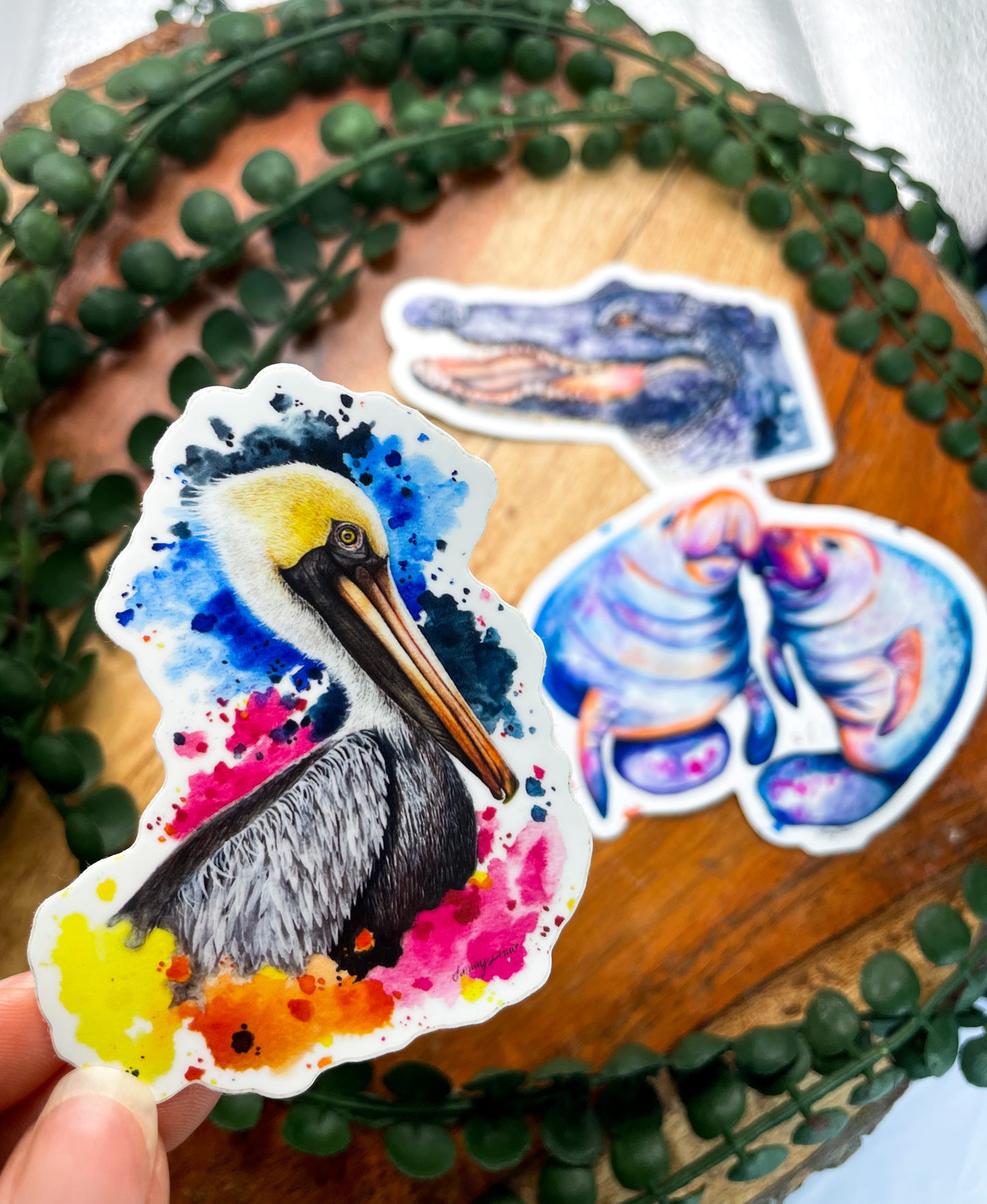 Florida Animal Sticker Bundle Set