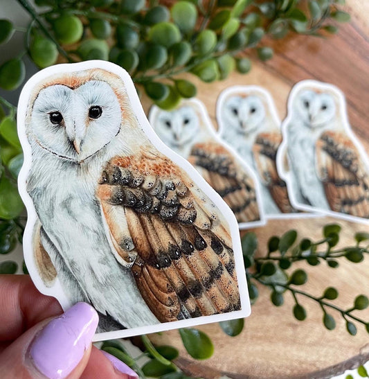 Barn Owl Waterproof Sticker