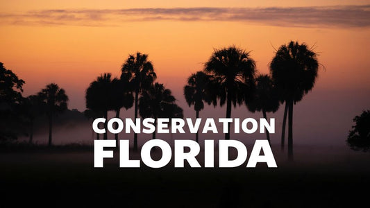 Why Are We Donating to Conservation Florida?