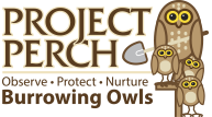 Collaborating with Project Perch