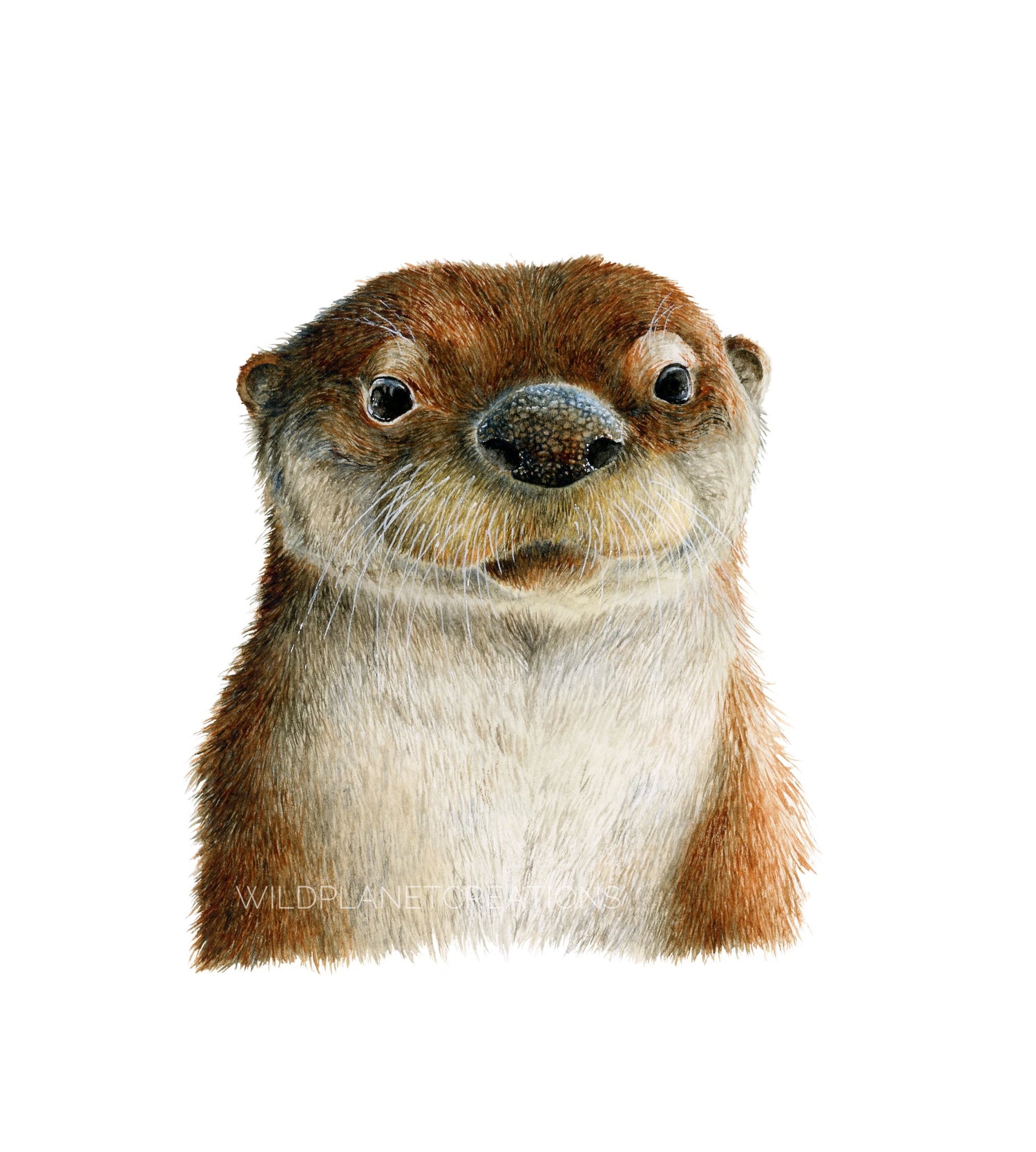 Otter