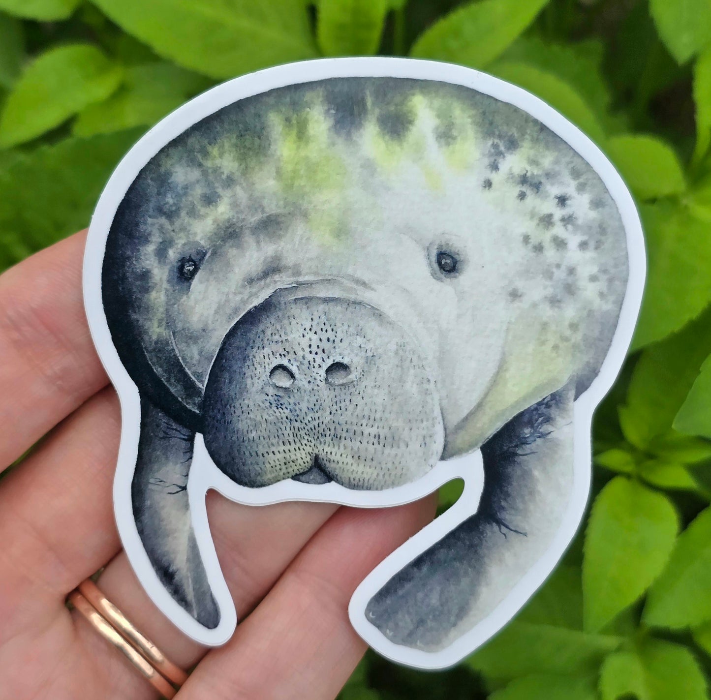 Manatee (Saying Hello) Waterproof Sticker