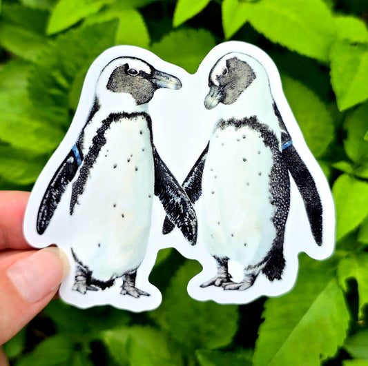 African Penguin Pair Waterproof Sticker