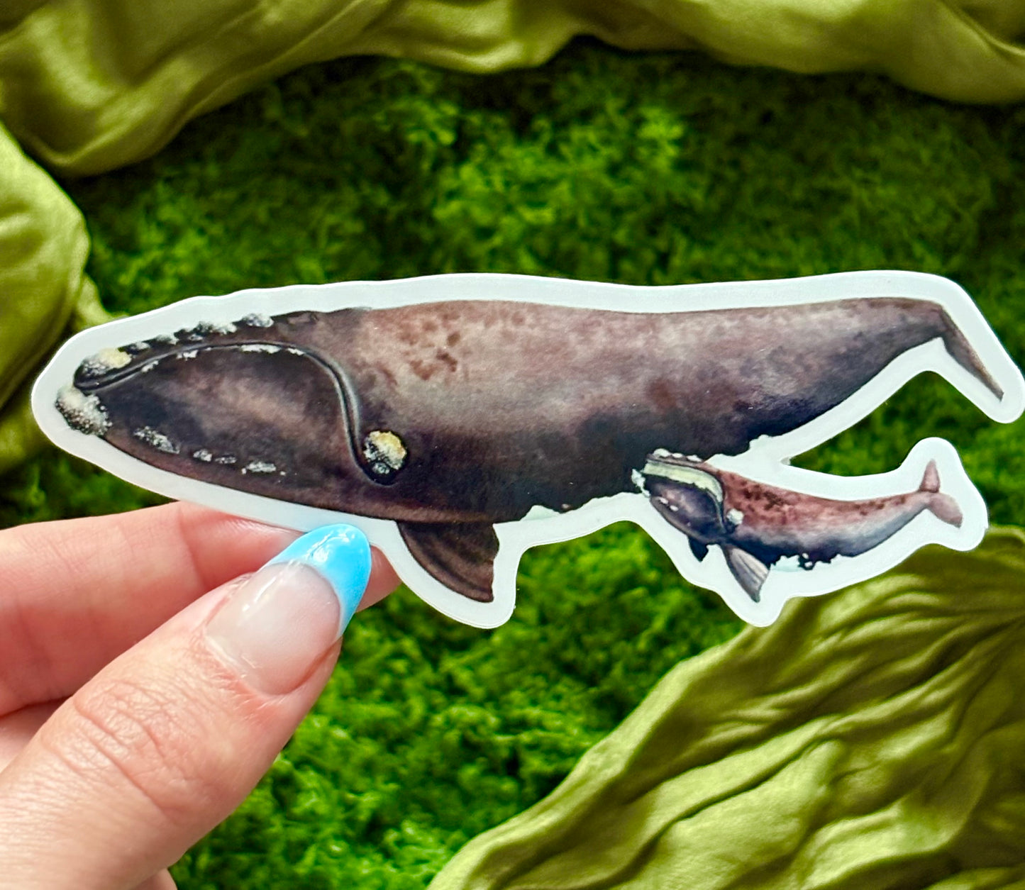 North Atlantic Right Whales (2) Waterproof Sticker