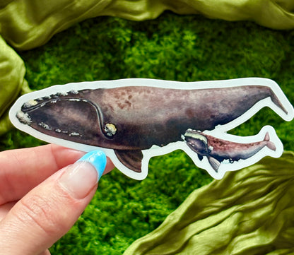 North Atlantic Right Whales (2) Waterproof Sticker