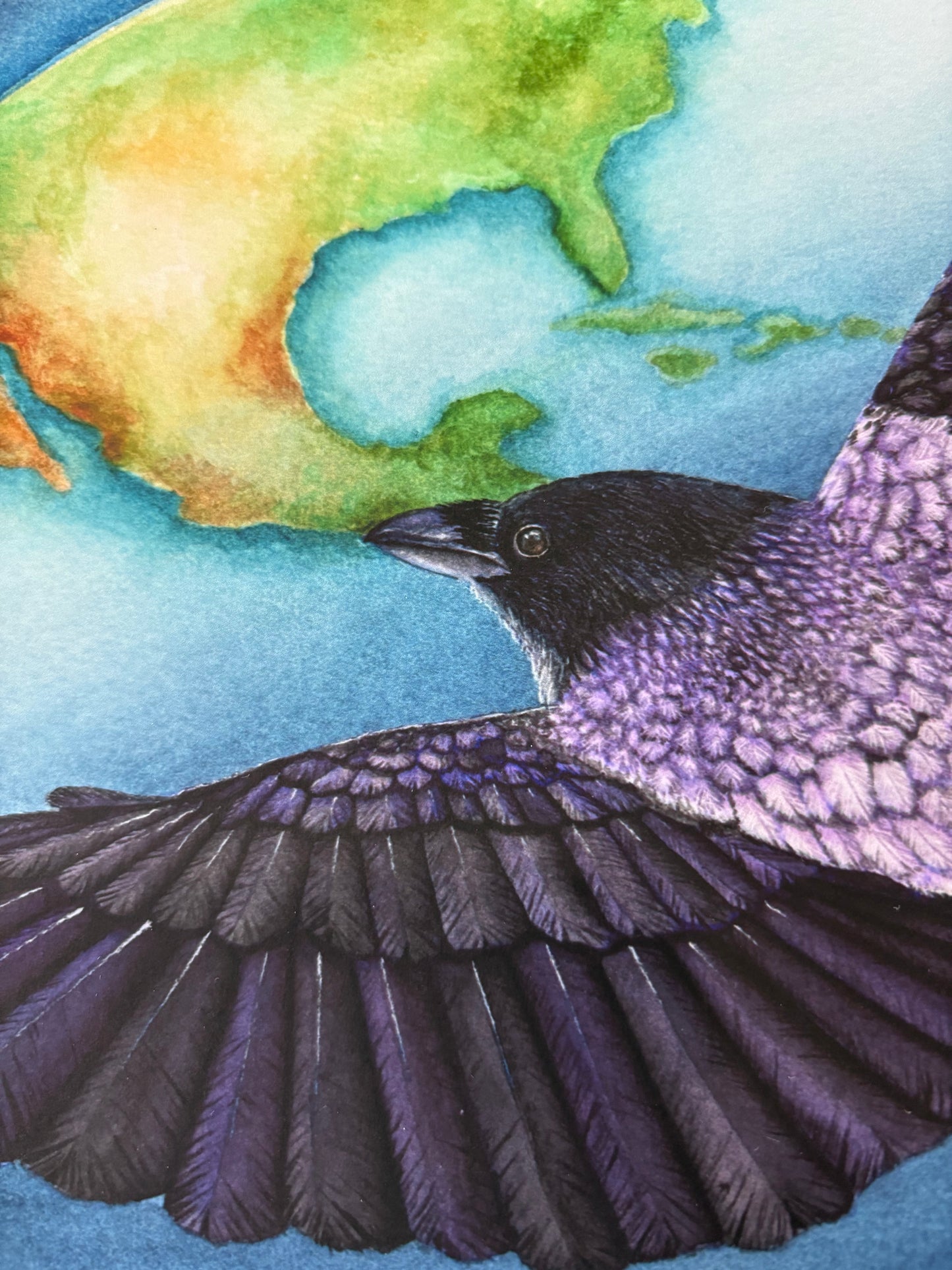"Bird's Eye View" Crow Limited Edition Fine Art Print