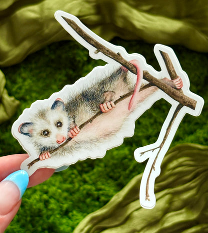 Opossum Baby Waterproof Sticker