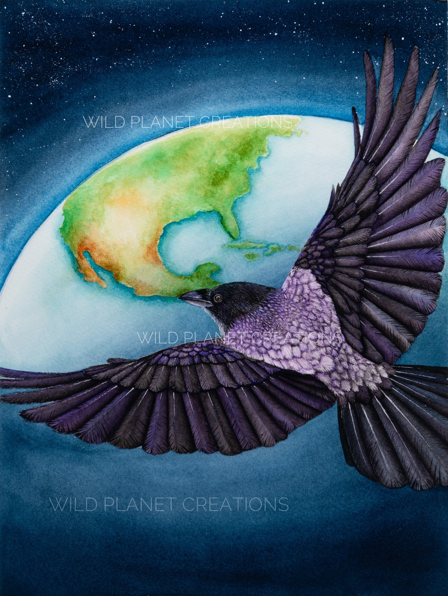 "Bird's Eye View" Crow Limited Edition Fine Art Print