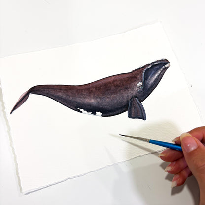 North Atlantic Right Whale Mini Original Watercolor Painting