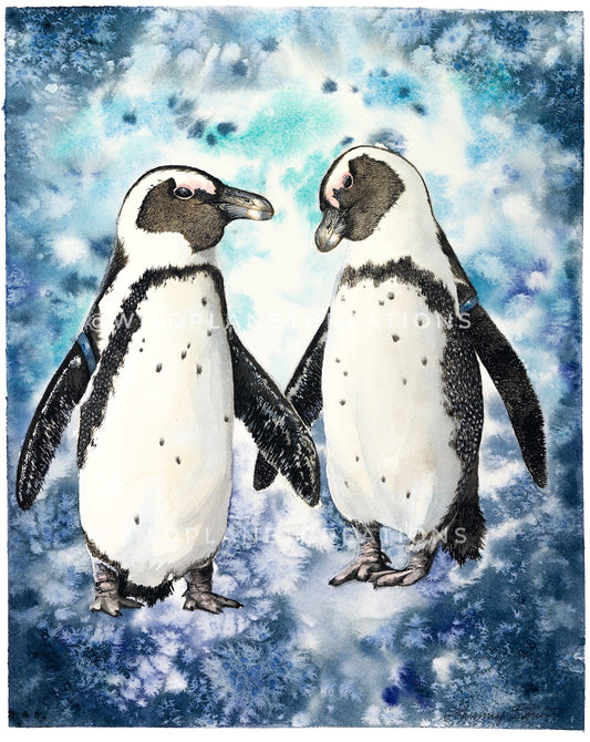 African Penguins Limited Edition Art Prints