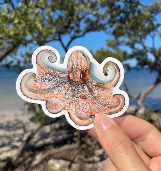 Caribbean Reef Octopus Waterproof Sticker