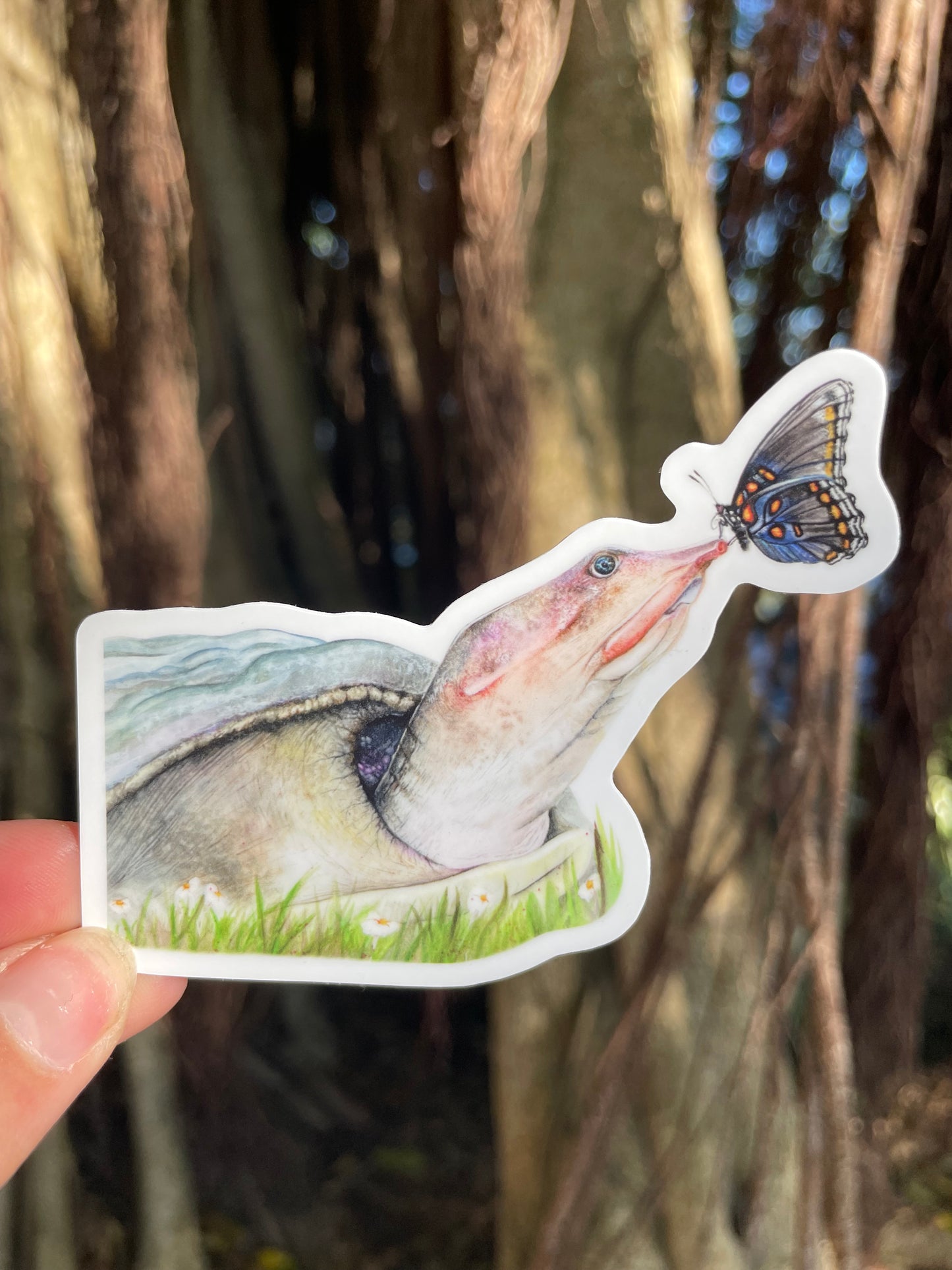 Florida Softshell Turtle Waterproof Sticker