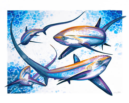 Thresher Shark Original Watercolor Painting