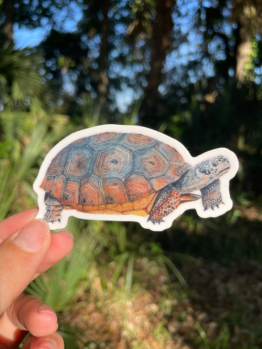 Gopher Tortoise Waterproof Sticker