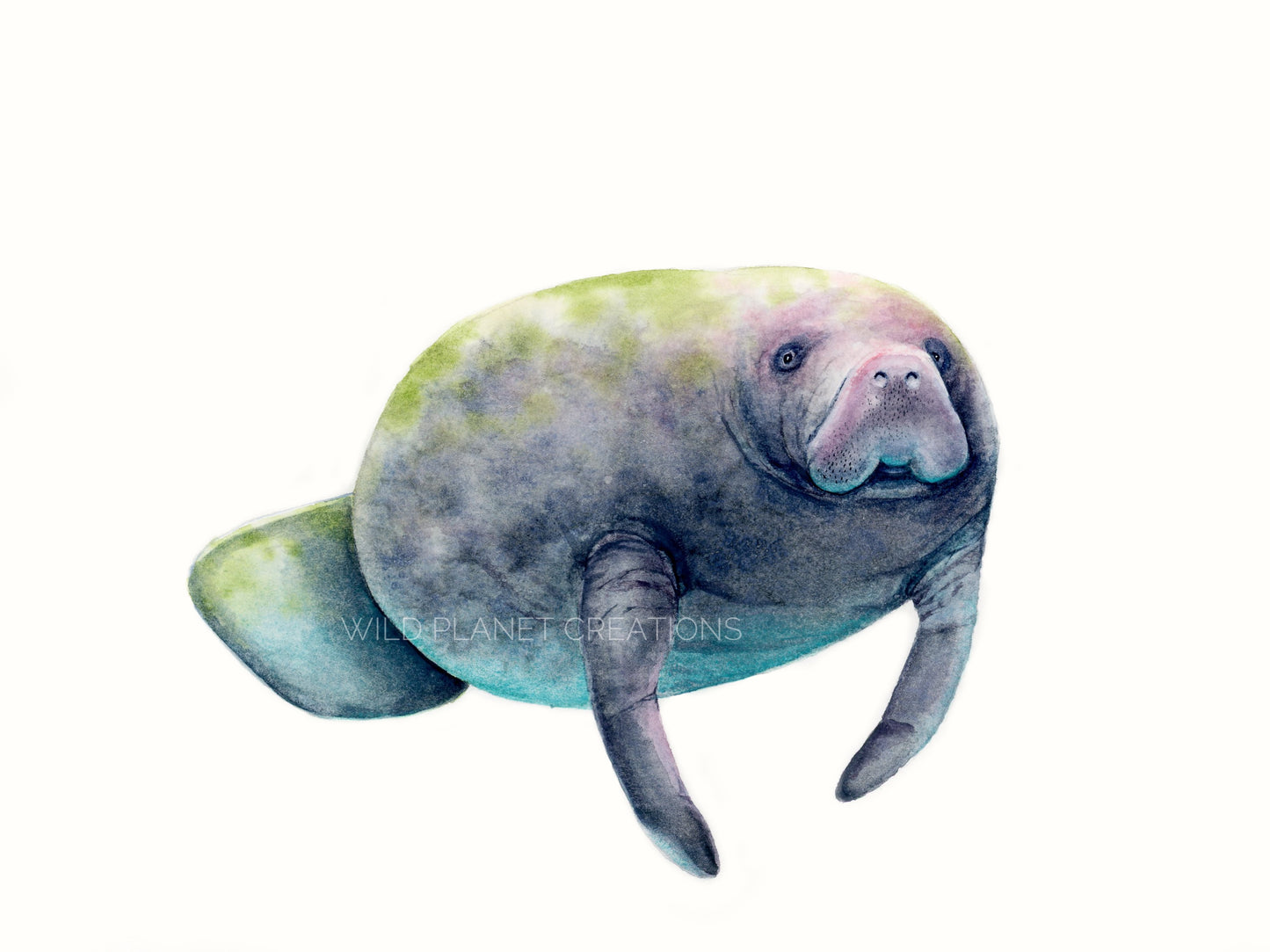 Manatee (Mighty Potato) Art Print