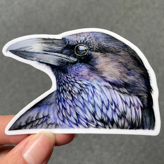 American Crow Waterproof Sticker