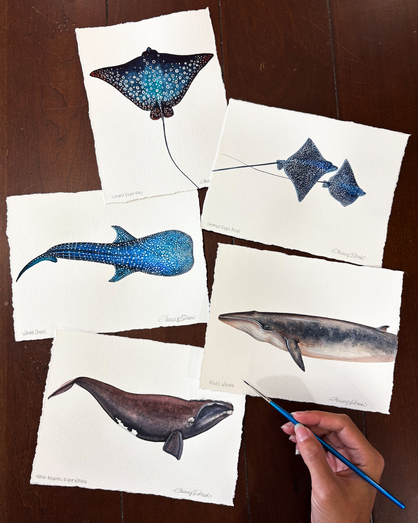 Rice's Whale Mini Original Watercolor Painting