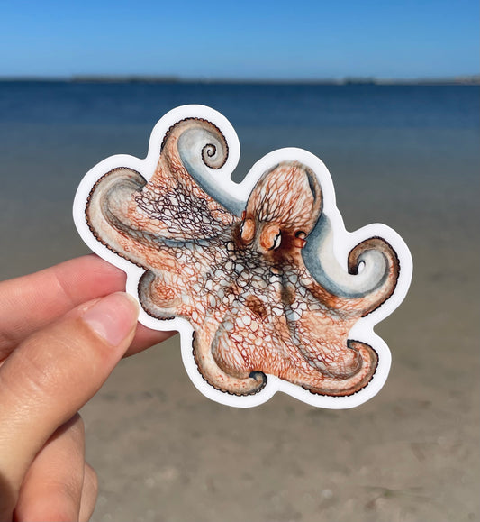 Caribbean Reef Octopus Waterproof Sticker