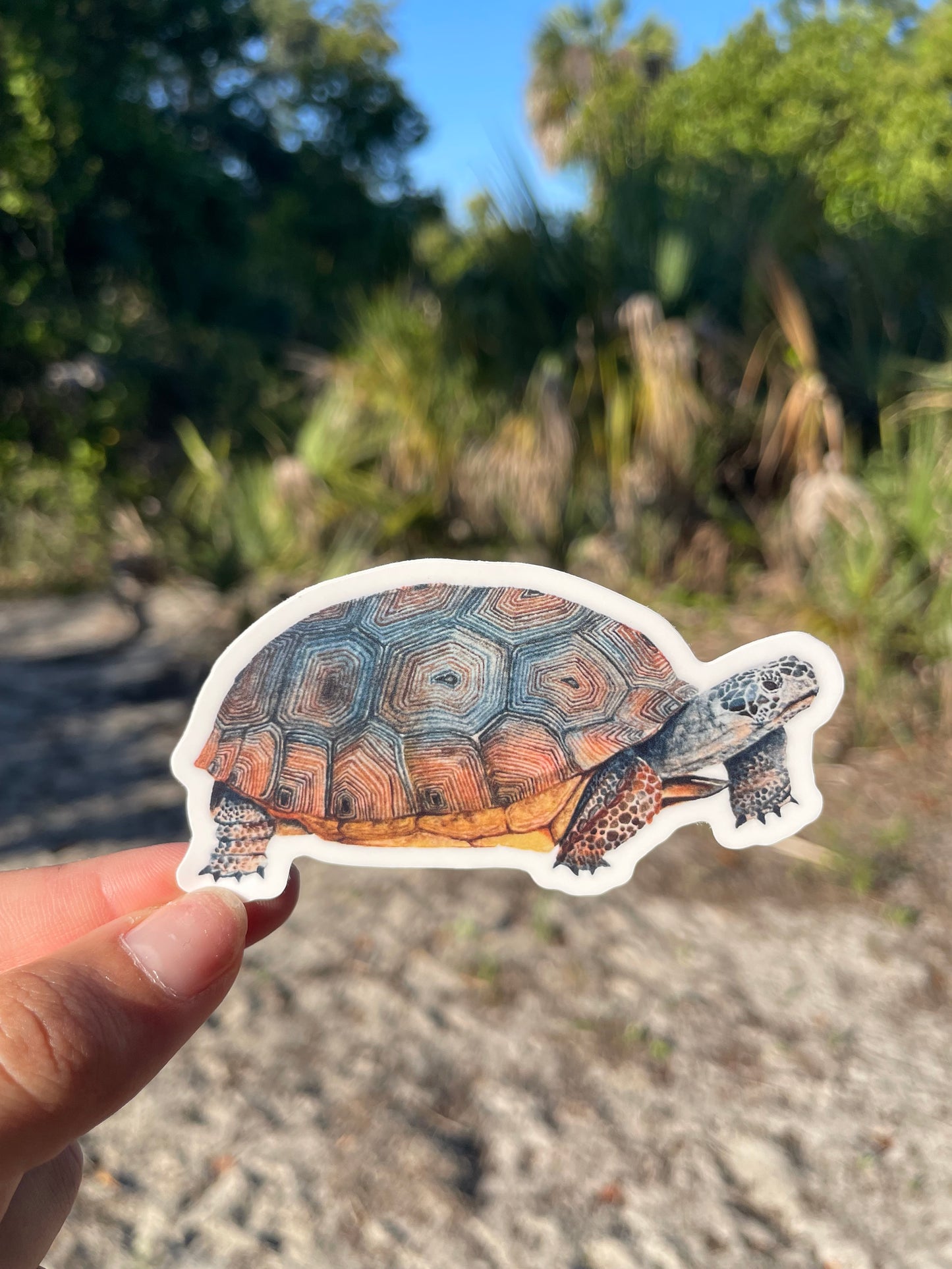 Gopher Tortoise Waterproof Sticker