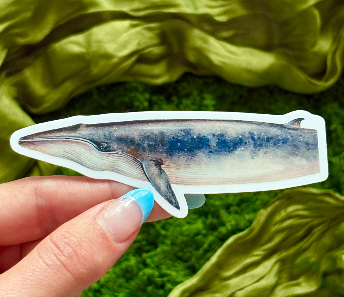 Rice's Whale Waterproof Sticker