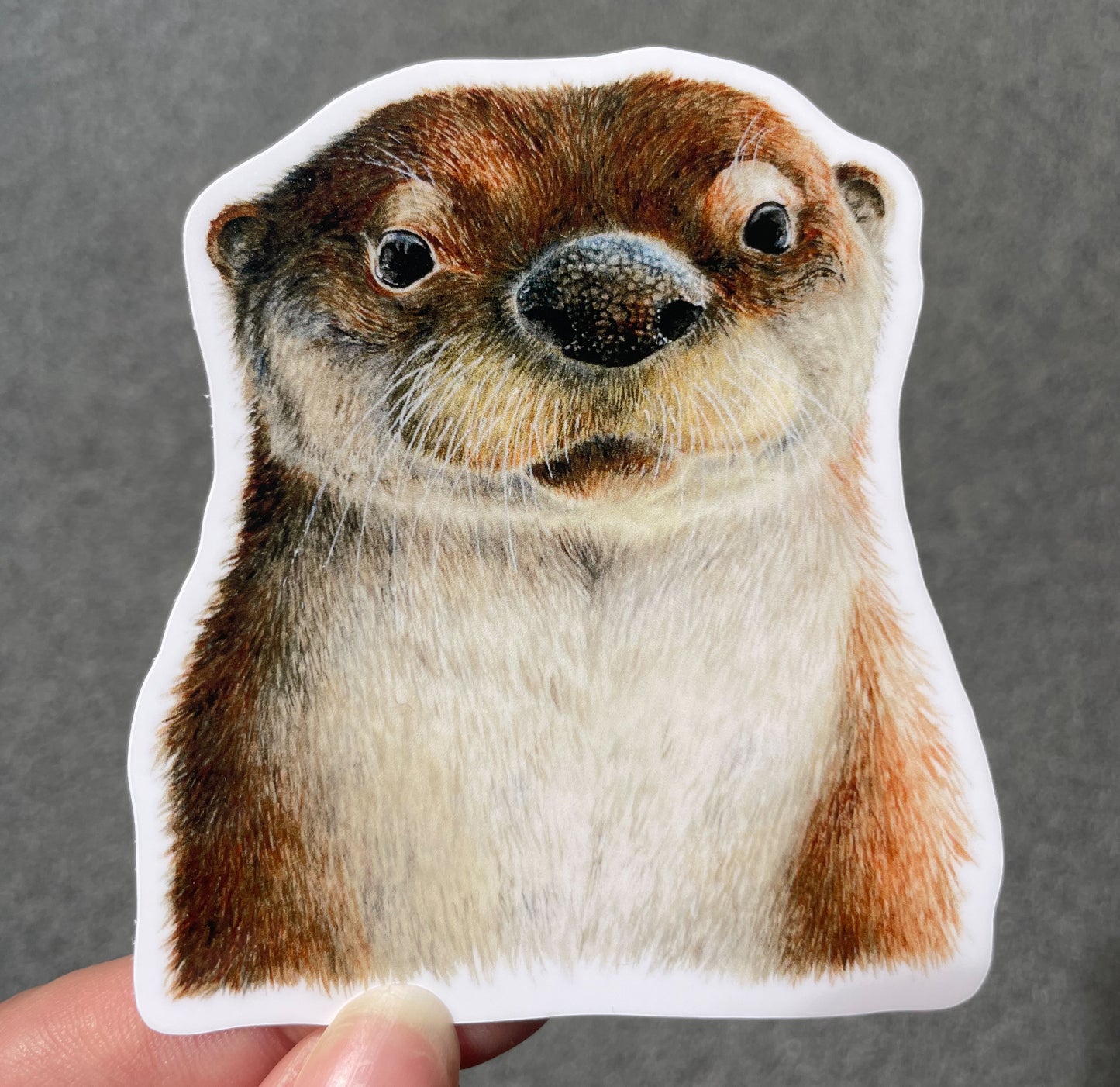 River Otter Portrait Waterproof Sticker