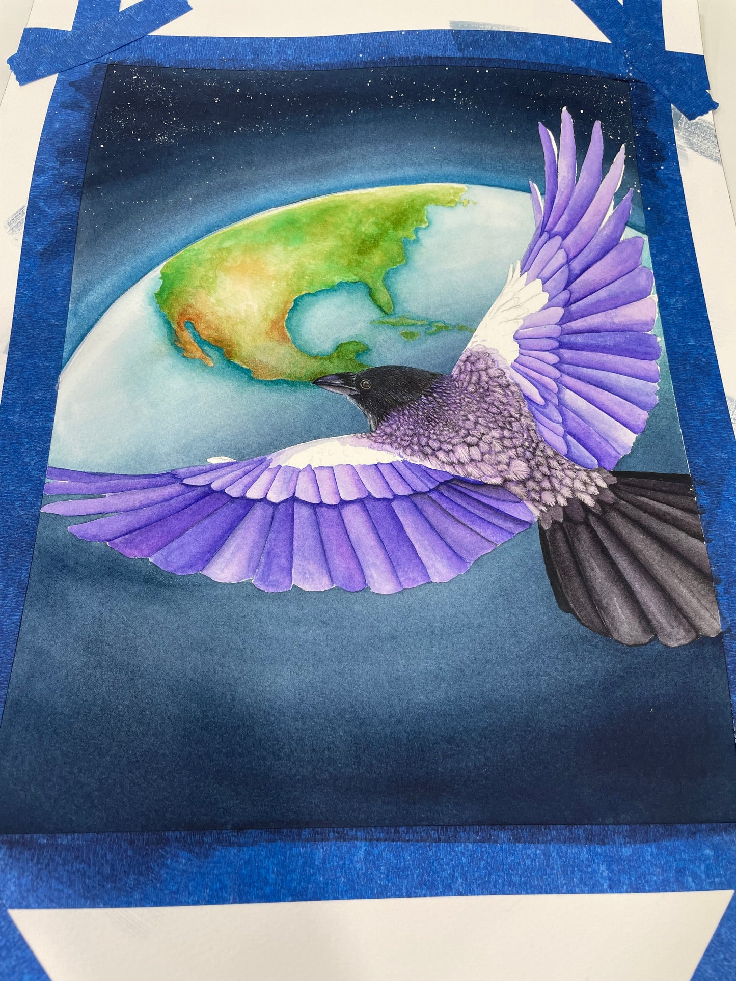 "Bird's Eye View" Crow Limited Edition Fine Art Print