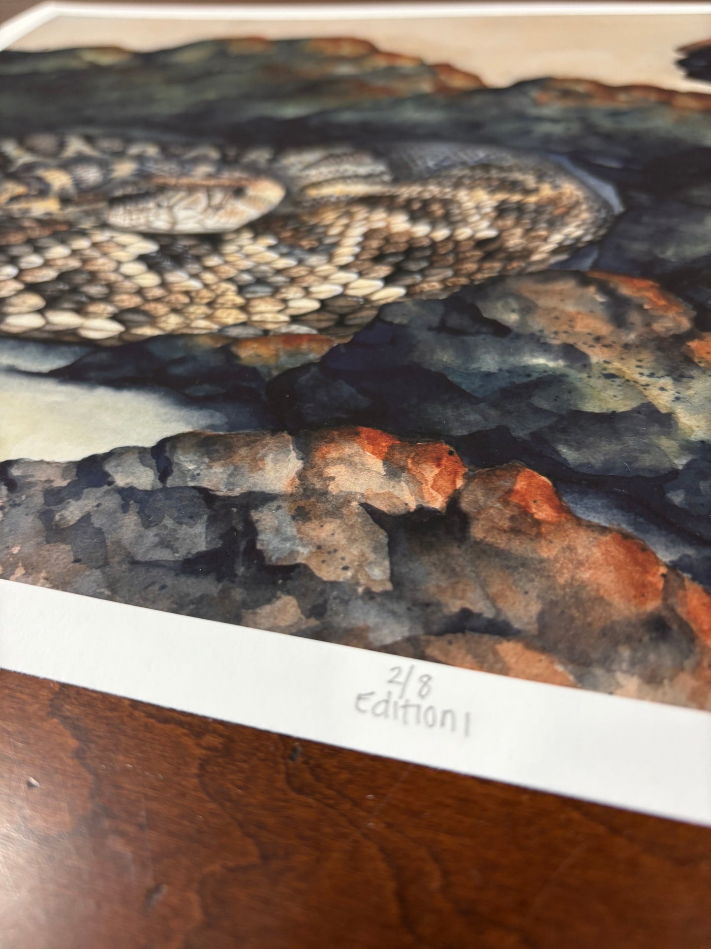 "Still Worthy" Eastern Diamondback Rattlesnake Limited Edition Fine Art Print