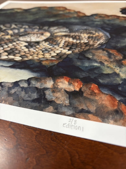 "Still Worthy" Eastern Diamondback Rattlesnake Limited Edition Fine Art Print